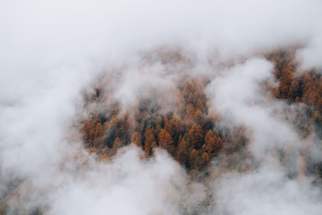 《归队》福庆角色介绍